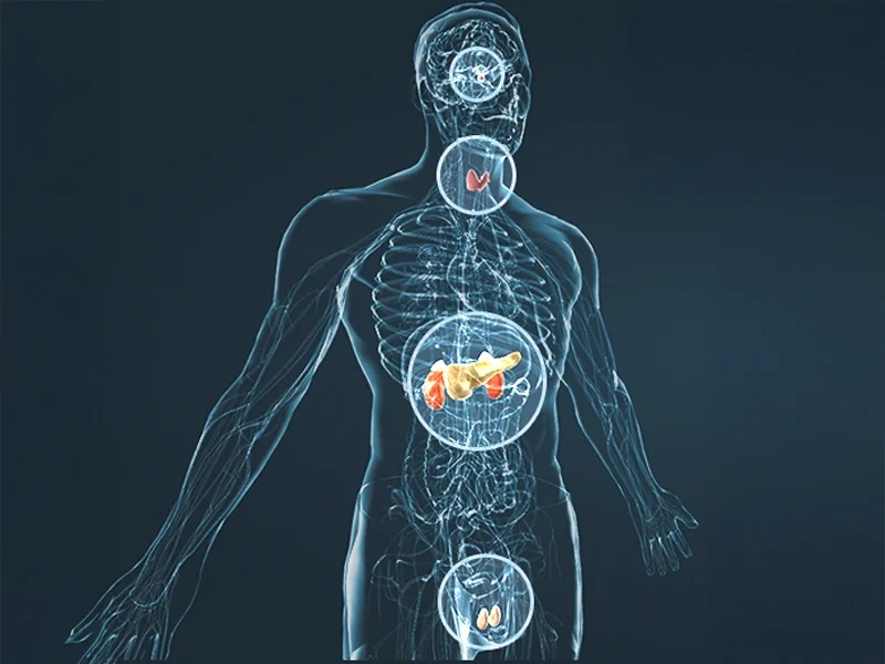 Illustration of healthy blood flow through a vessel, the circulation JellyBoost targets